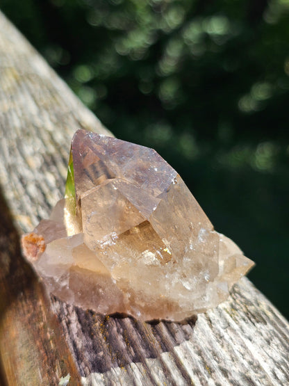 Quartz fumé du Mont-Blanc P