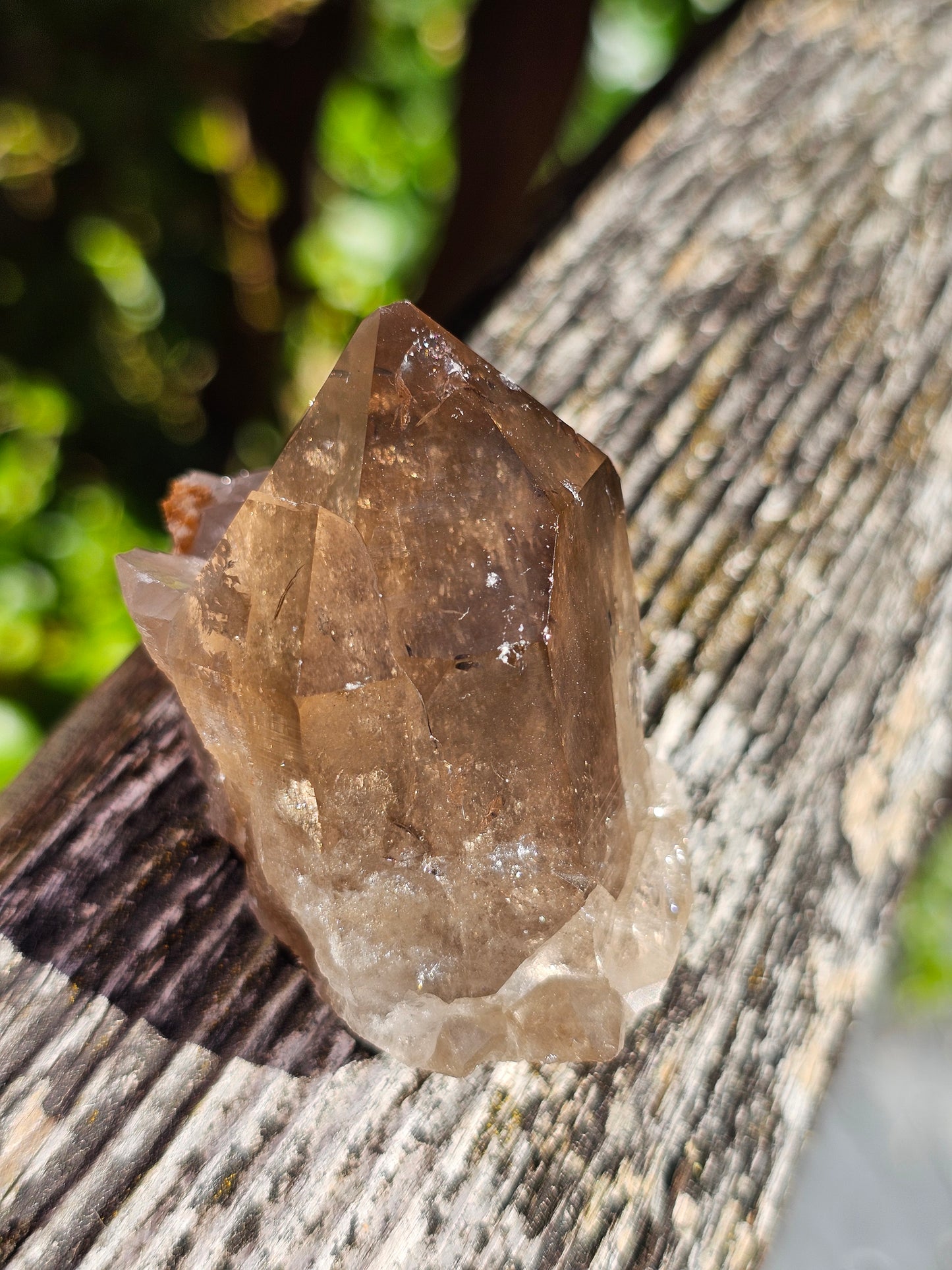 Quartz fumé du Mont-Blanc P