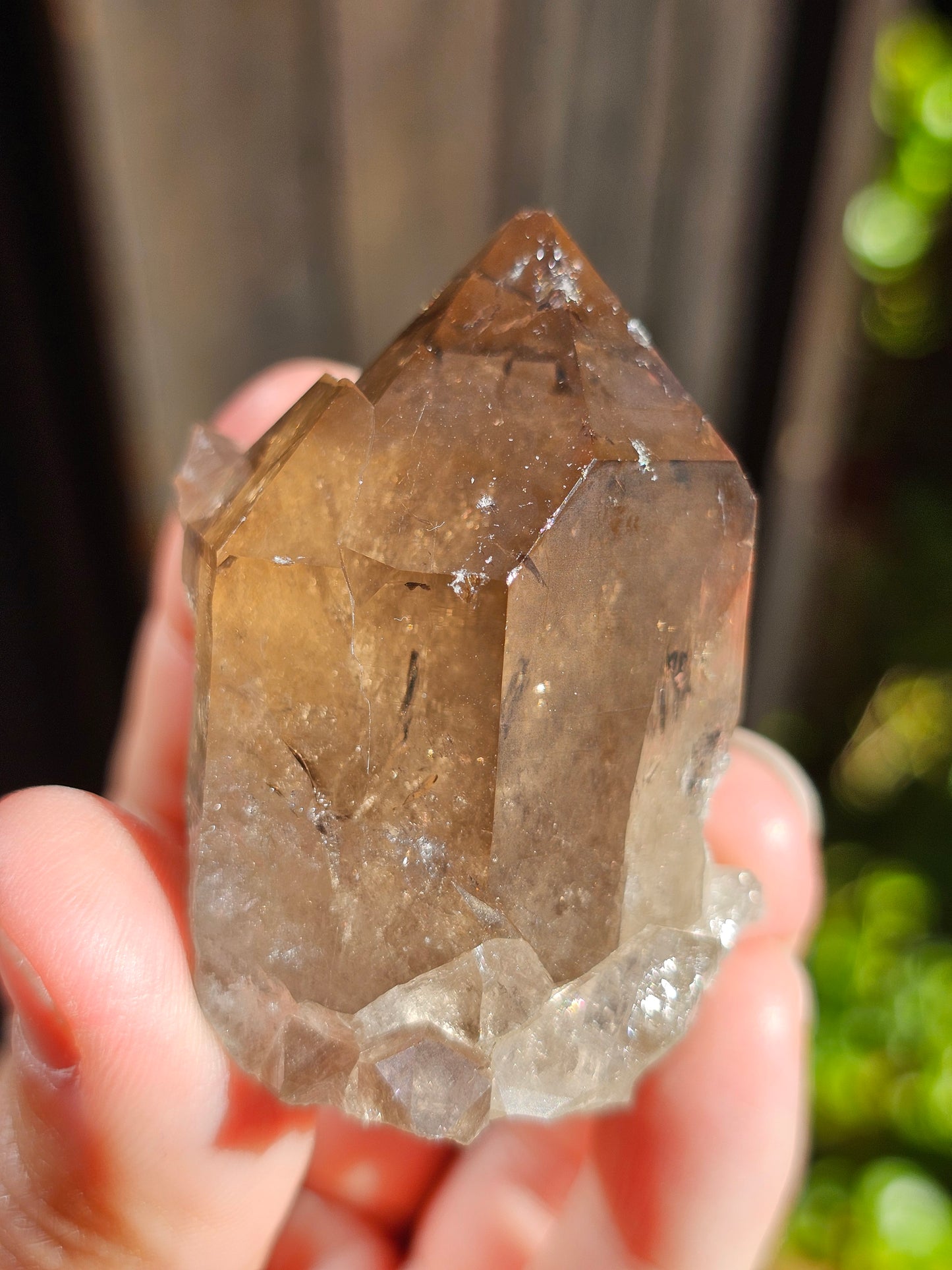 Quartz fumé du Mont-Blanc P