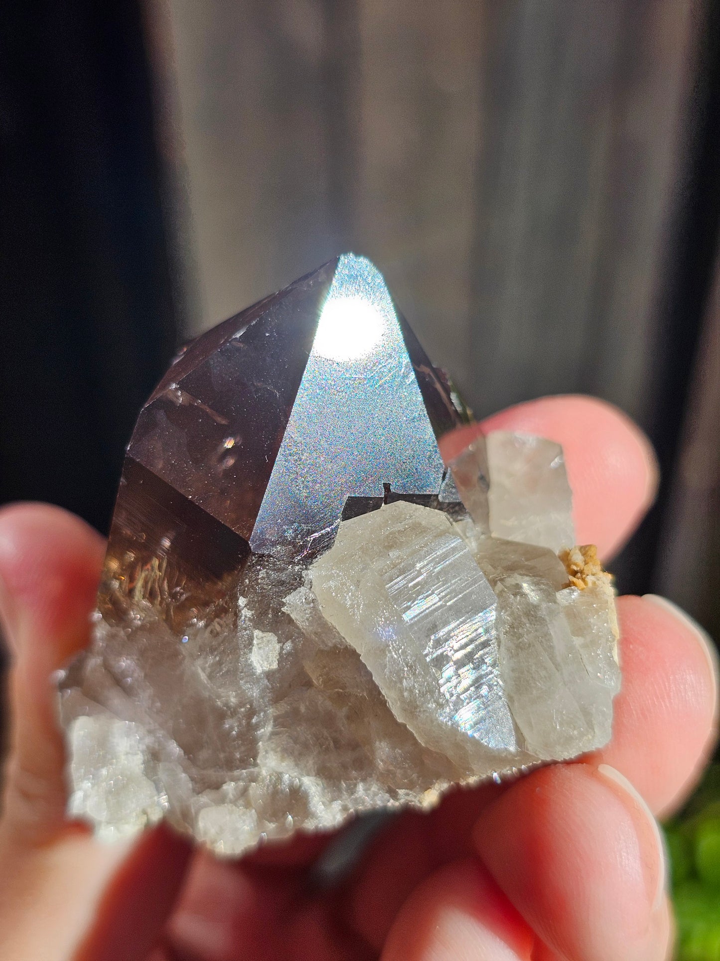 Quartz fumé du Mont-Blanc P