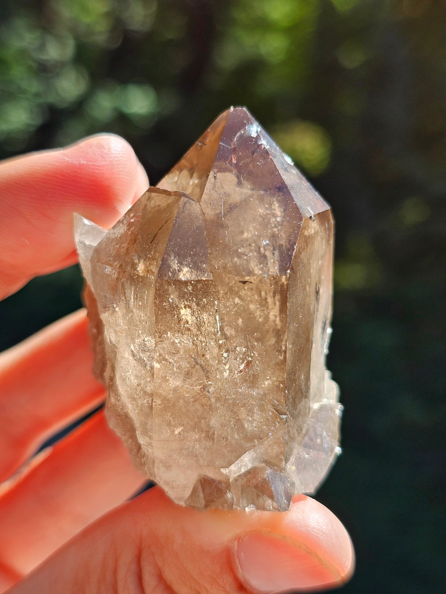 Quartz fumé du Mont-Blanc P