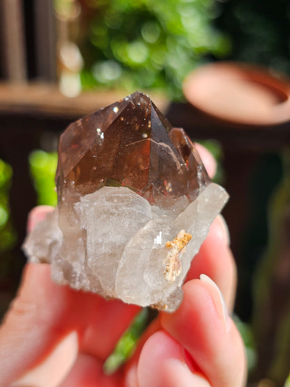 Quartz fumé du Mont-Blanc P