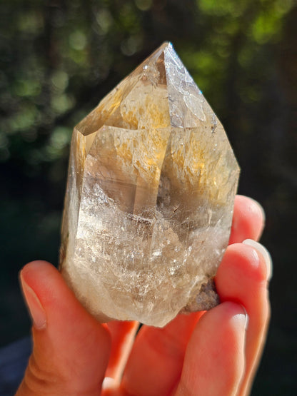 Quartz fumé du Mont-Blanc S