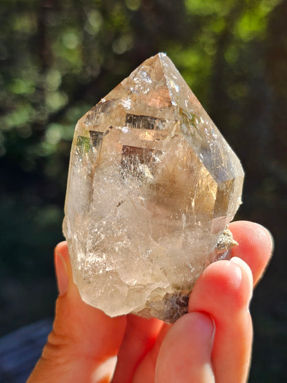 Quartz fumé du Mont-Blanc S