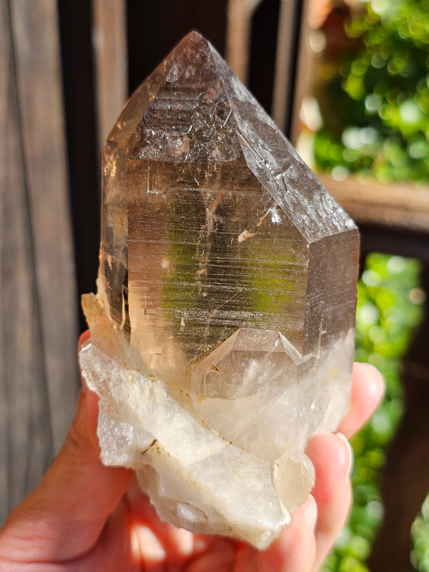 Gros Quartz fumé du Mont-Blanc U