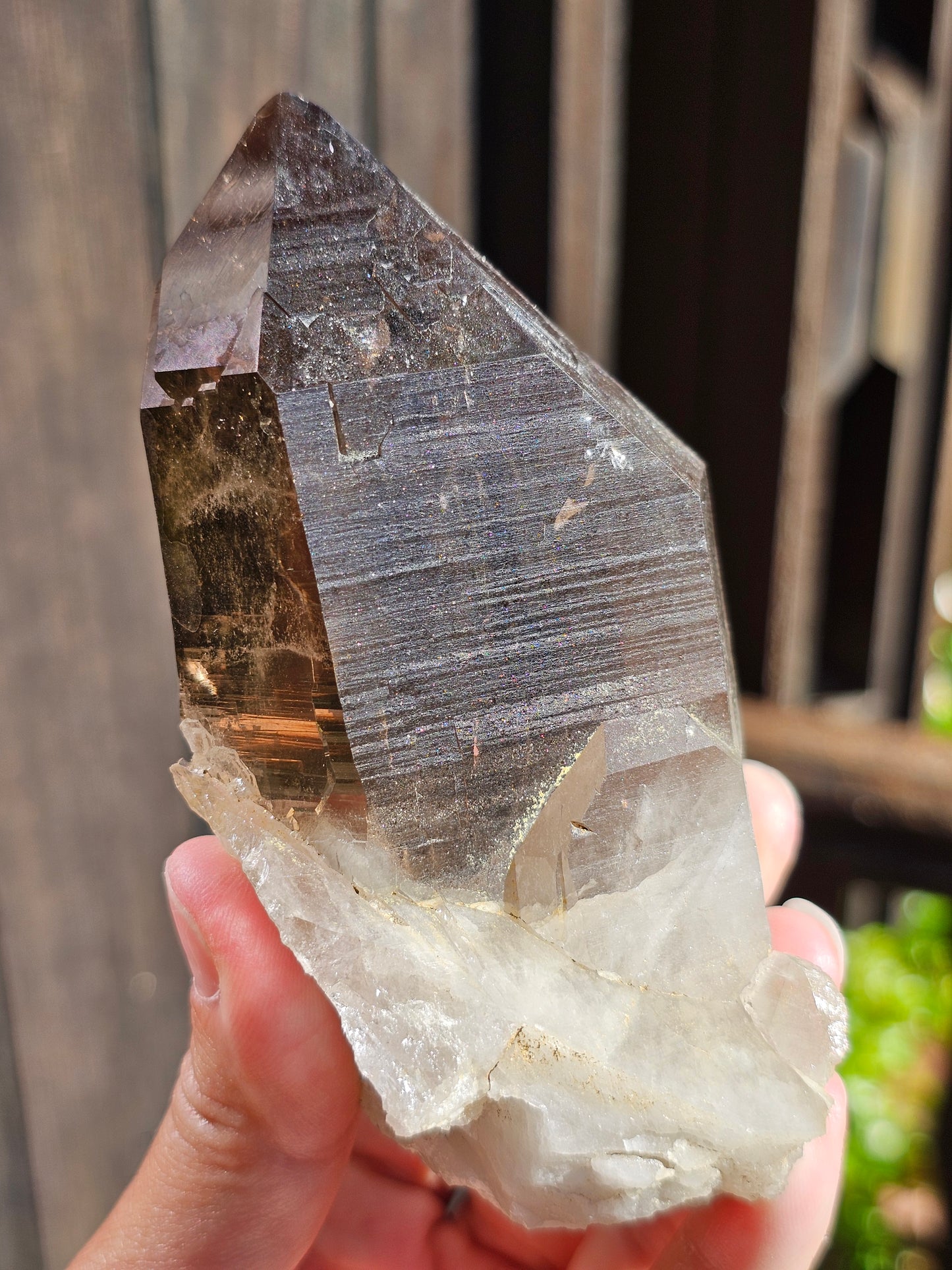 Gros Quartz fumé du Mont-Blanc U