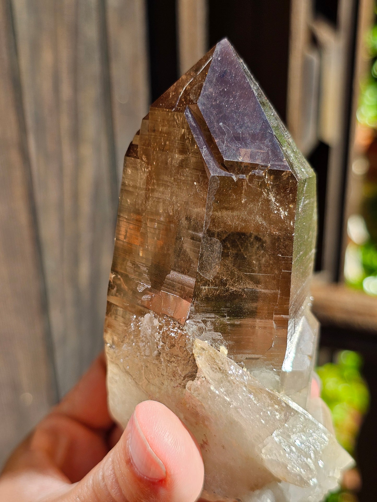 Gros Quartz fumé du Mont-Blanc U