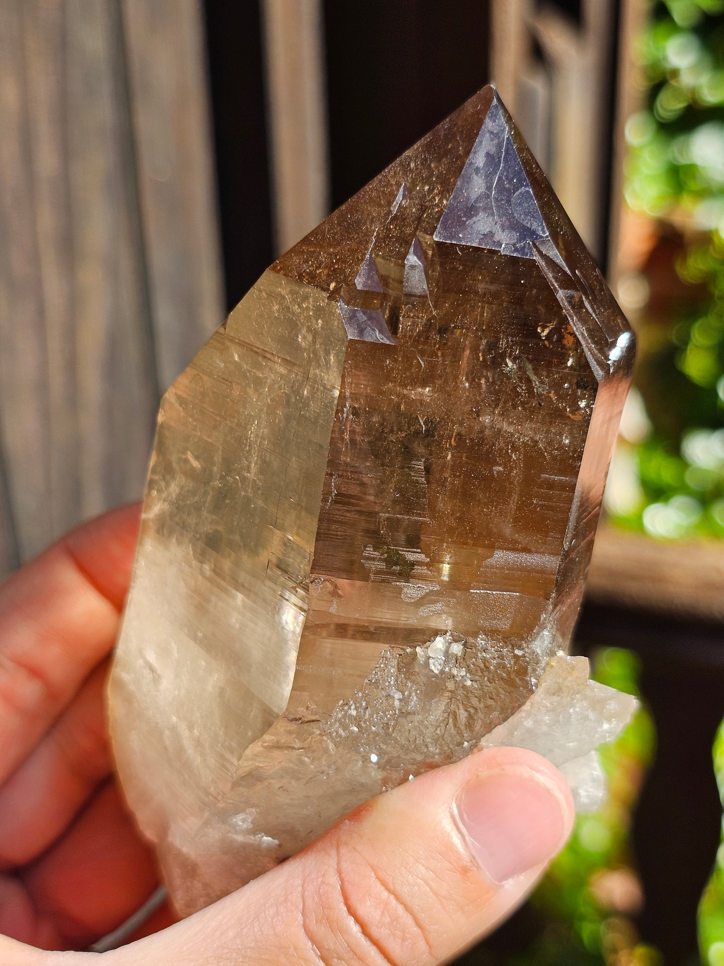 Gros Quartz fumé du Mont-Blanc U