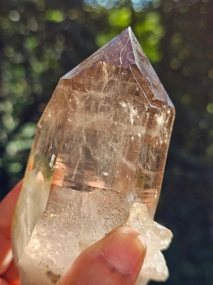 Gros Quartz fumé du Mont-Blanc U