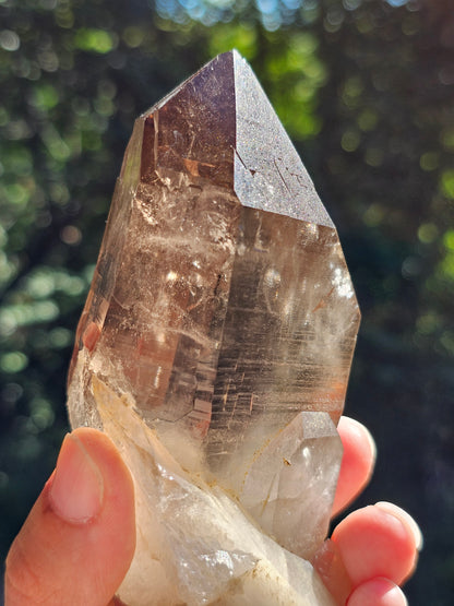 Gros Quartz fumé du Mont-Blanc U