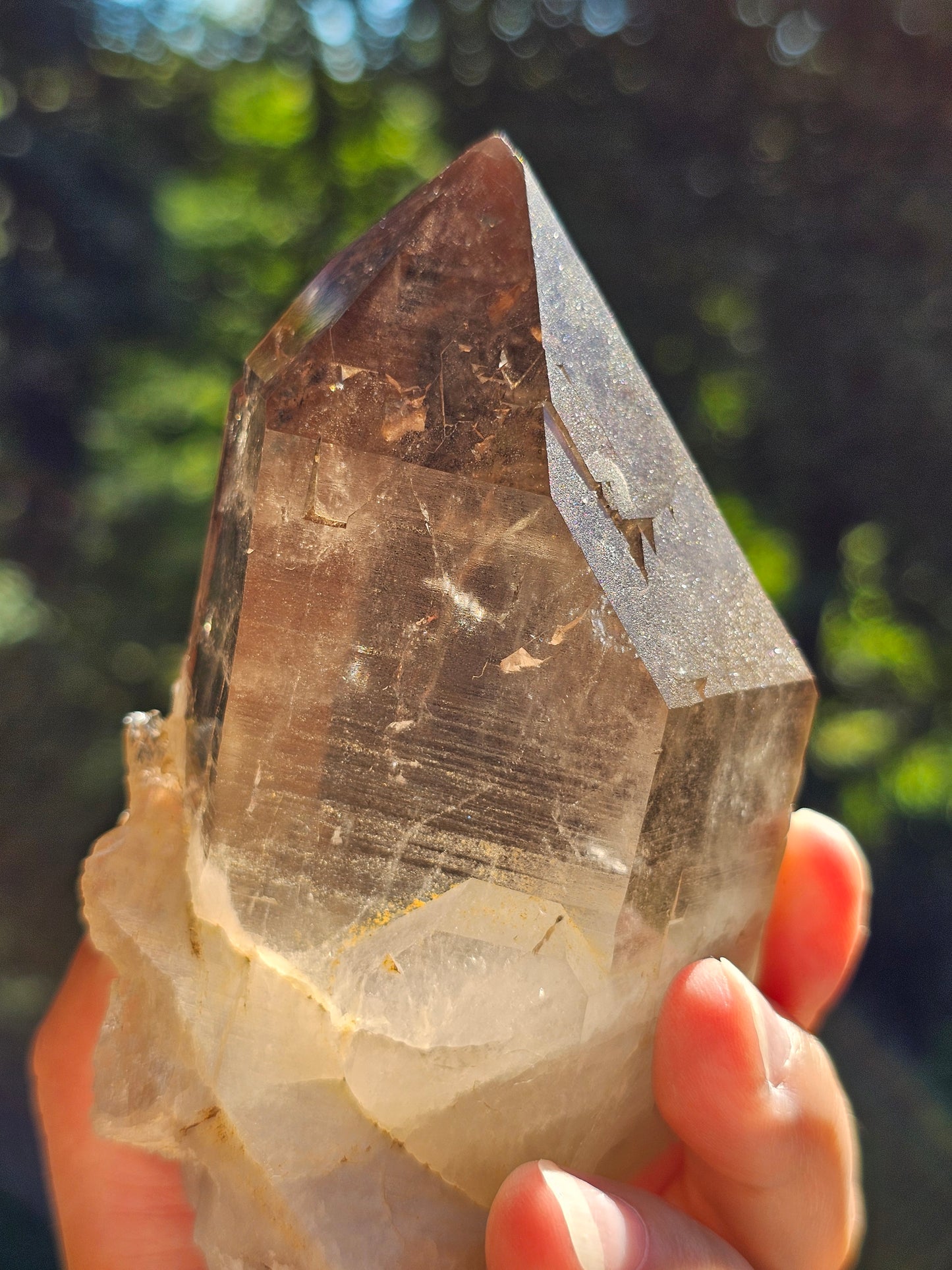 Gros Quartz fumé du Mont-Blanc U