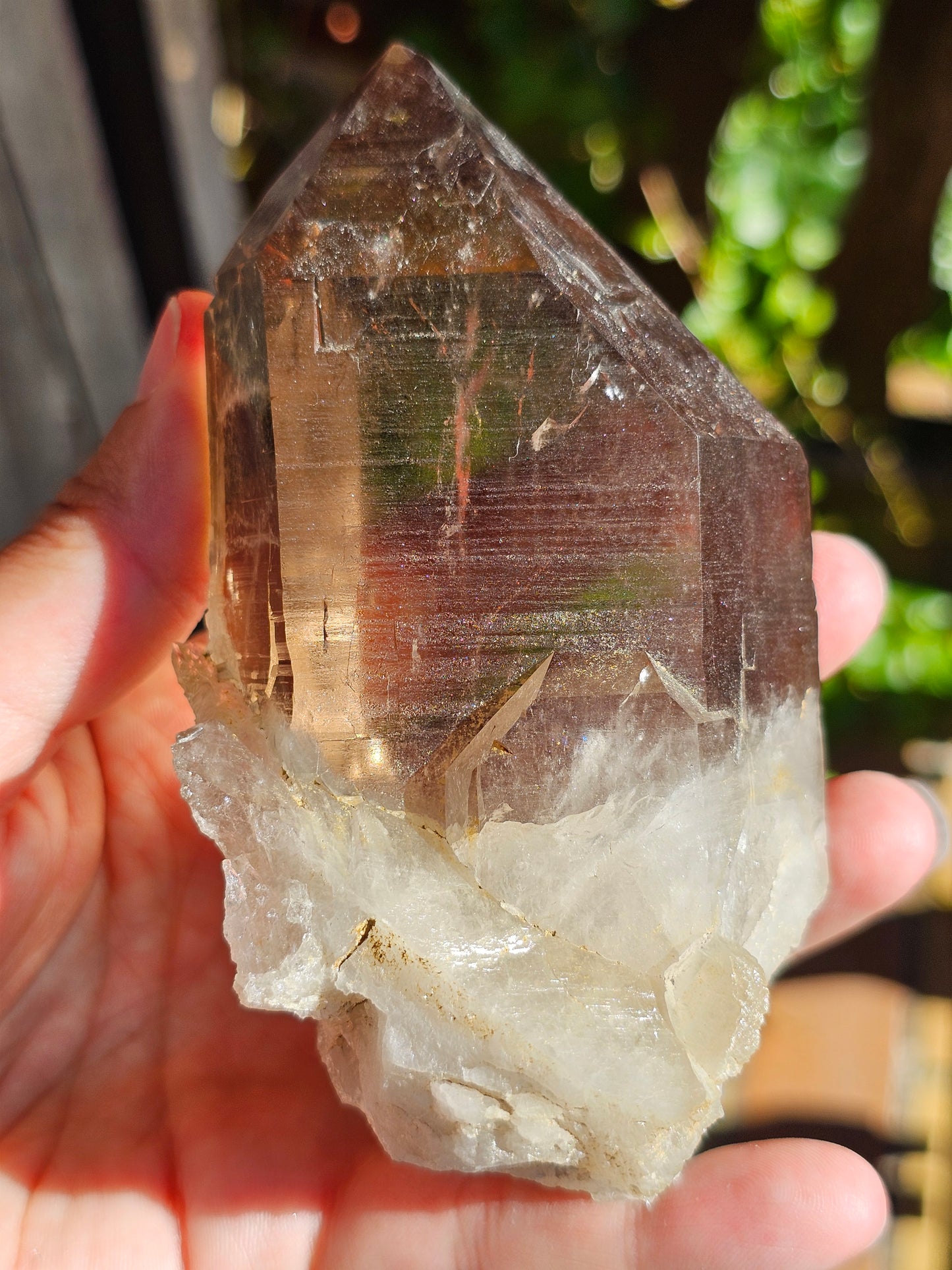 Gros Quartz fumé du Mont-Blanc U