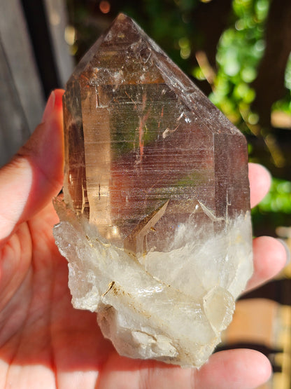 Gros Quartz fumé du Mont-Blanc U