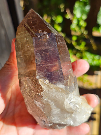 Gros Quartz fumé du Mont-Blanc U