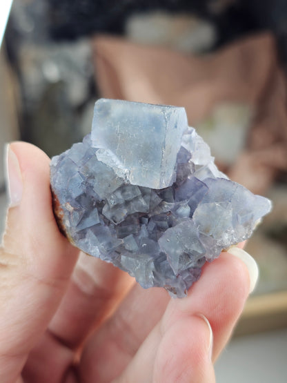 Fluorite du Maroc n°5