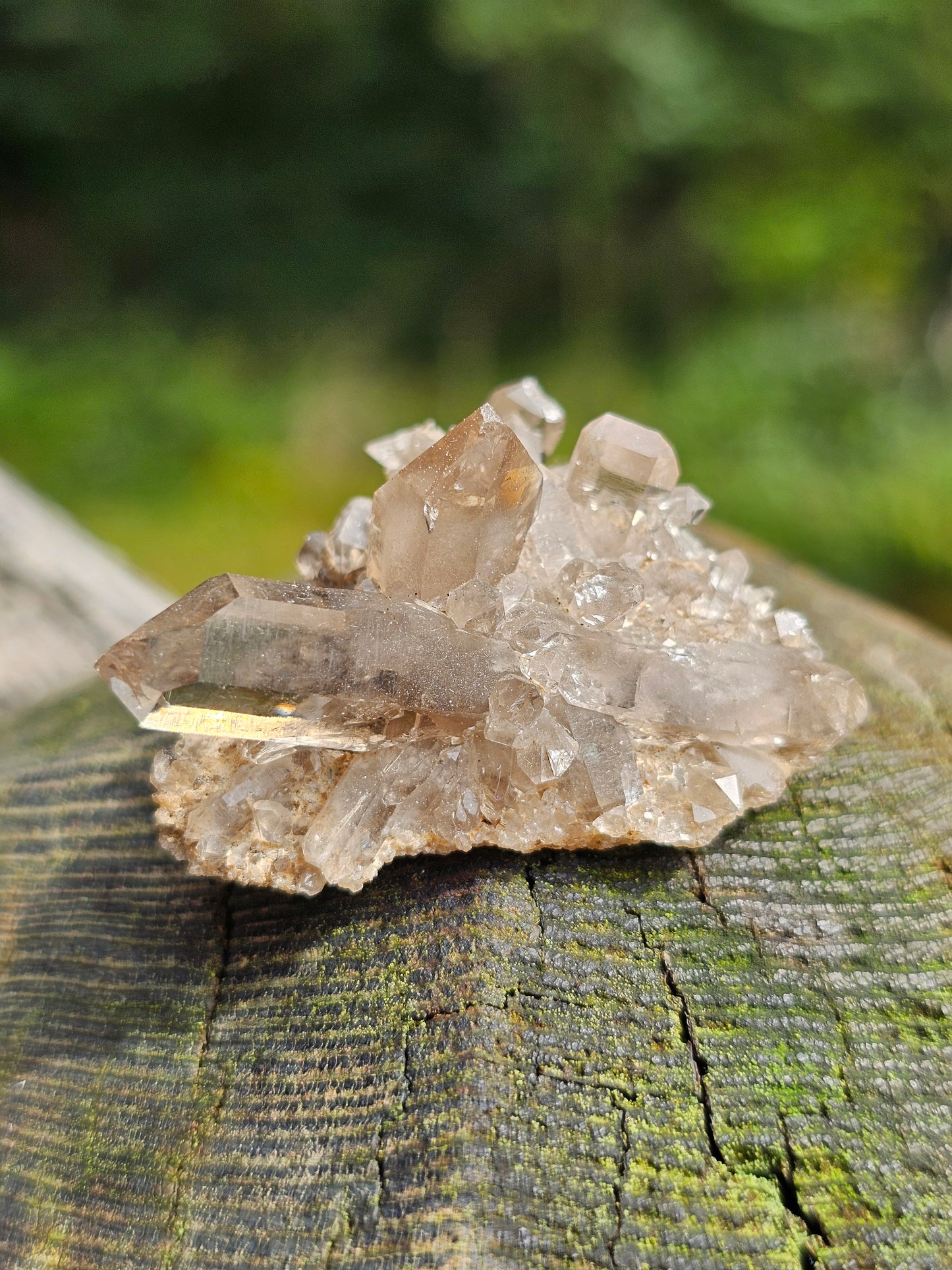 Quartz fumé des Pyrénées U