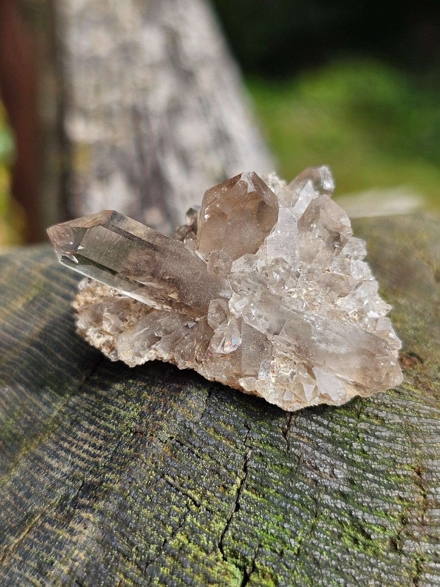 Quartz fumé des Pyrénées U