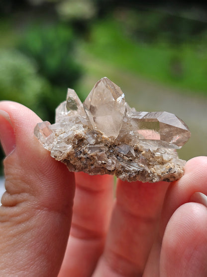 Quartz fumé des Pyrénées U