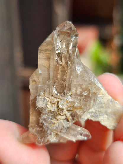 Quartz fumé des Pyrénées S