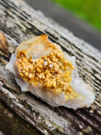 Géode entière Agate et Calcédoine de Normandie (réactive UV)