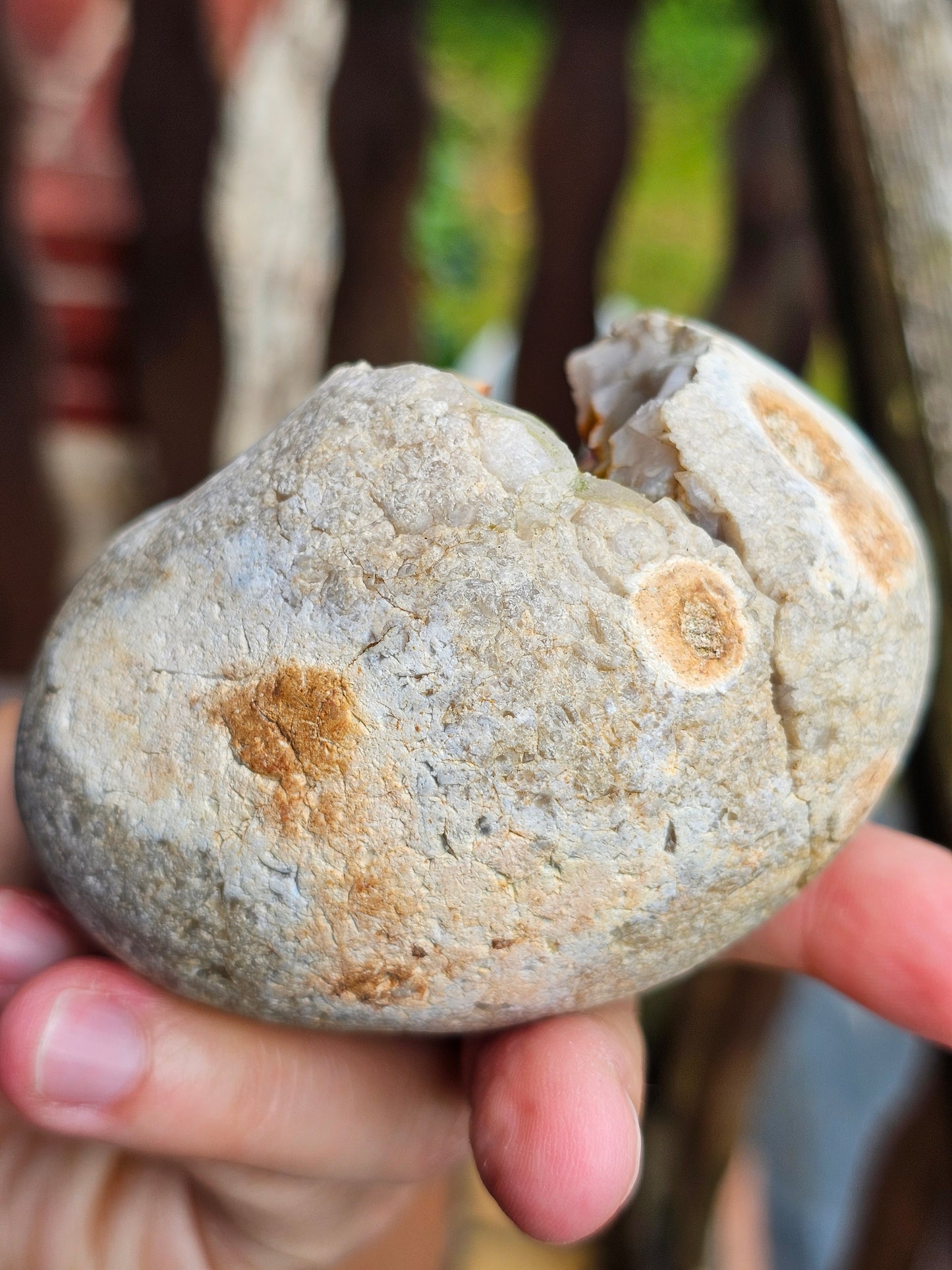 Géode entière Agate et Calcédoine de Normandie (réactive UV)