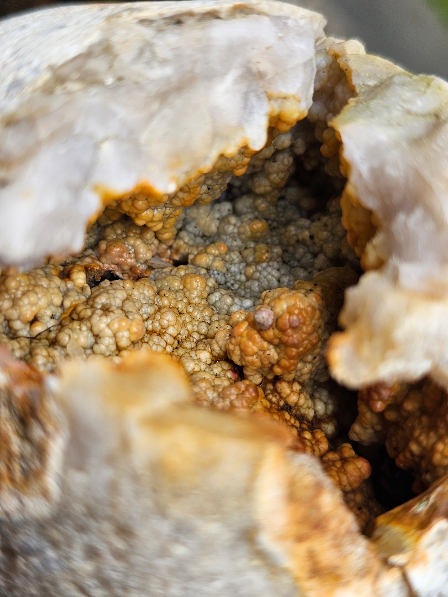 Géode entière Agate et Calcédoine de Normandie (réactive UV)