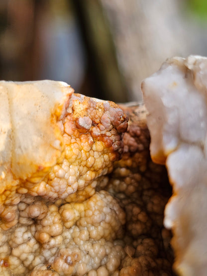 Géode entière Agate et Calcédoine de Normandie (réactive UV)