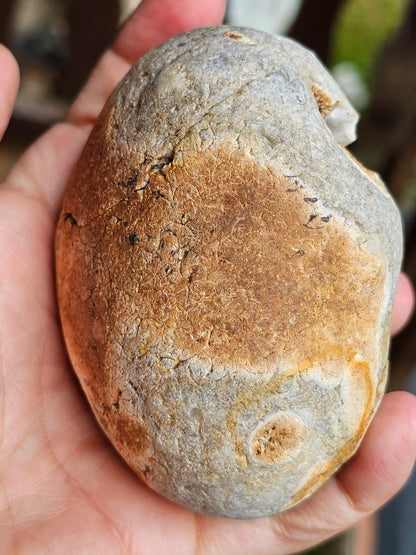 Géode entière Agate et Calcédoine de Normandie (réactive UV)