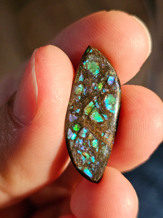 Ammolite du Canada E