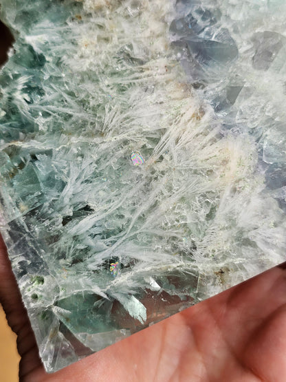 Tranche de Fluorite snowflake (ou feather) F2