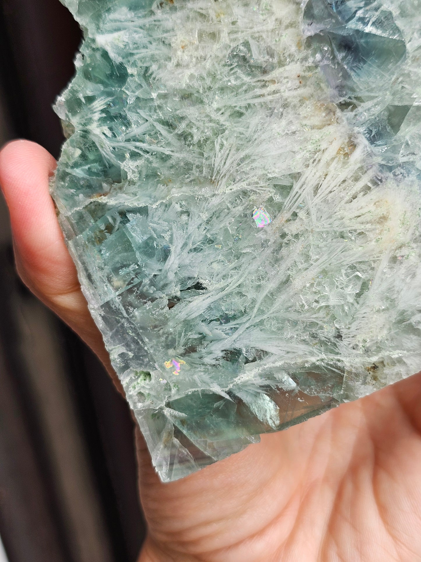 Tranche de Fluorite snowflake (ou feather) F2