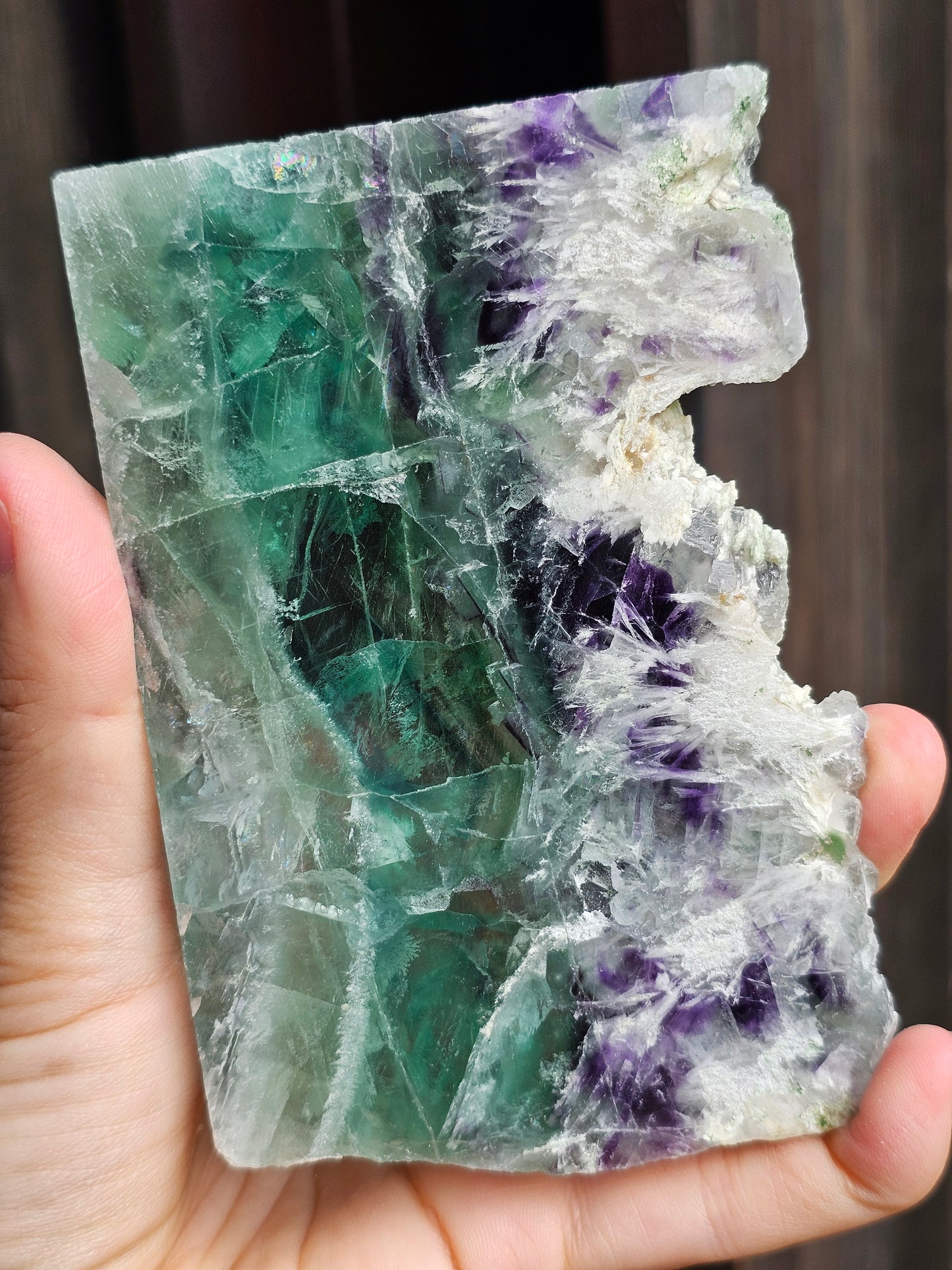 Tranche de Fluorite snowflake (ou feather) F3