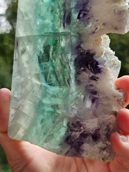 Tranche de Fluorite snowflake (ou feather) F3