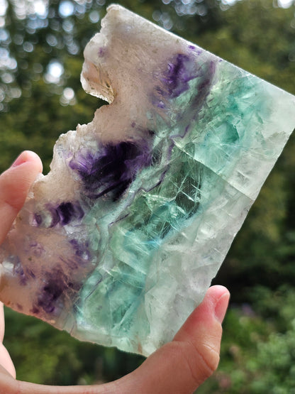 Tranche de Fluorite snowflake (ou feather) F3