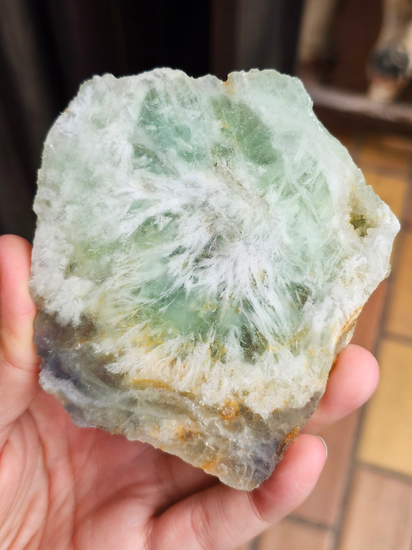 Tranche de Fluorite snowflake (ou feather) F8