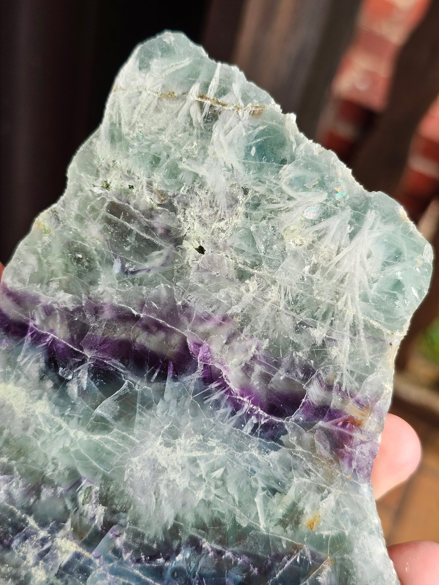 Tranche de Fluorite snowflake (ou feather) F9