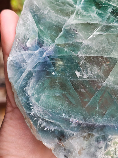 Tranche de Fluorite snowflake (ou feather) F10