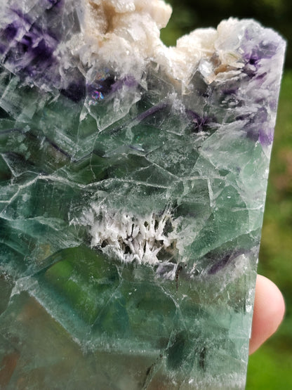 Tranche de Fluorite snowflake (ou feather) F10