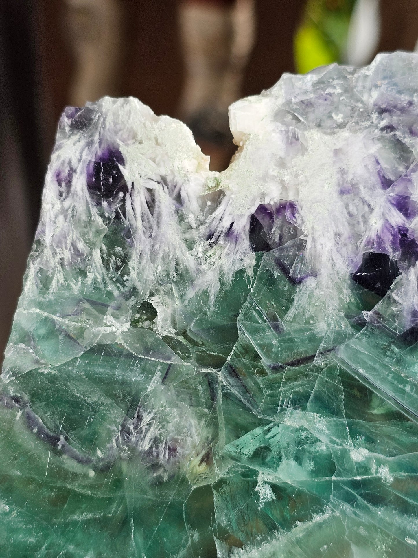 Tranche de Fluorite snowflake (ou feather) F10