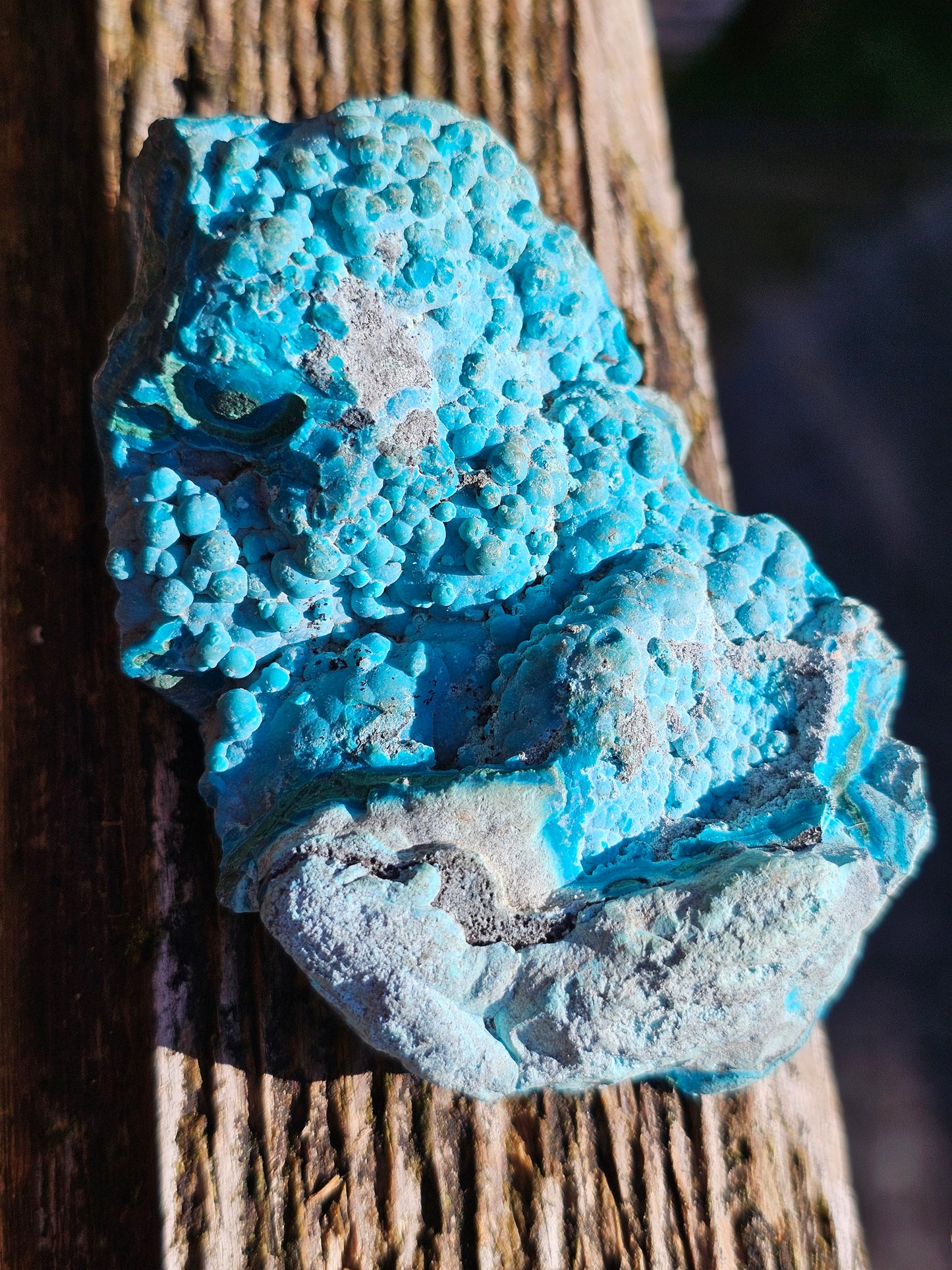 Chrysocolle cristallisée du Congo C2