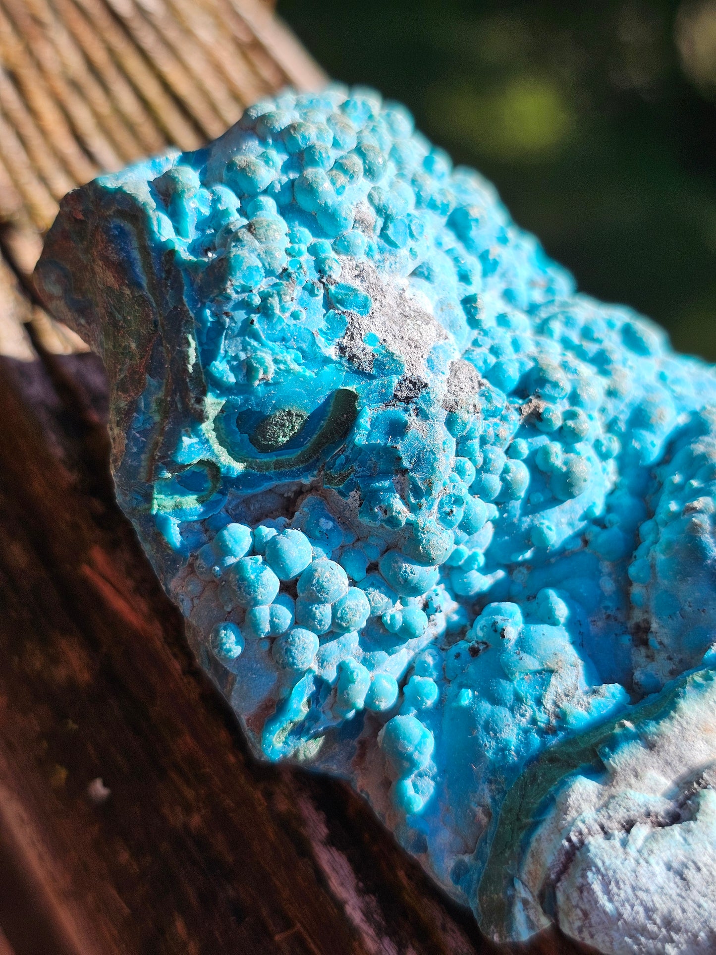 Chrysocolle cristallisée du Congo C2