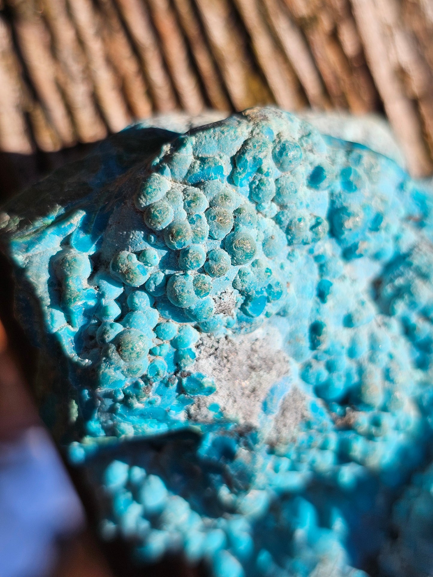 Chrysocolle cristallisée du Congo C2