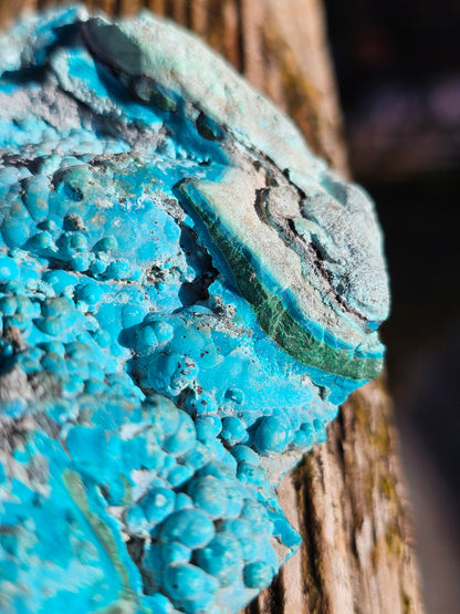 Chrysocolle cristallisée du Congo C2