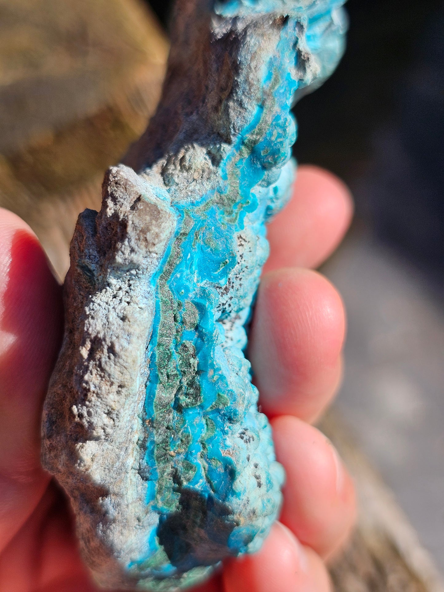 Chrysocolle cristallisée du Congo C2