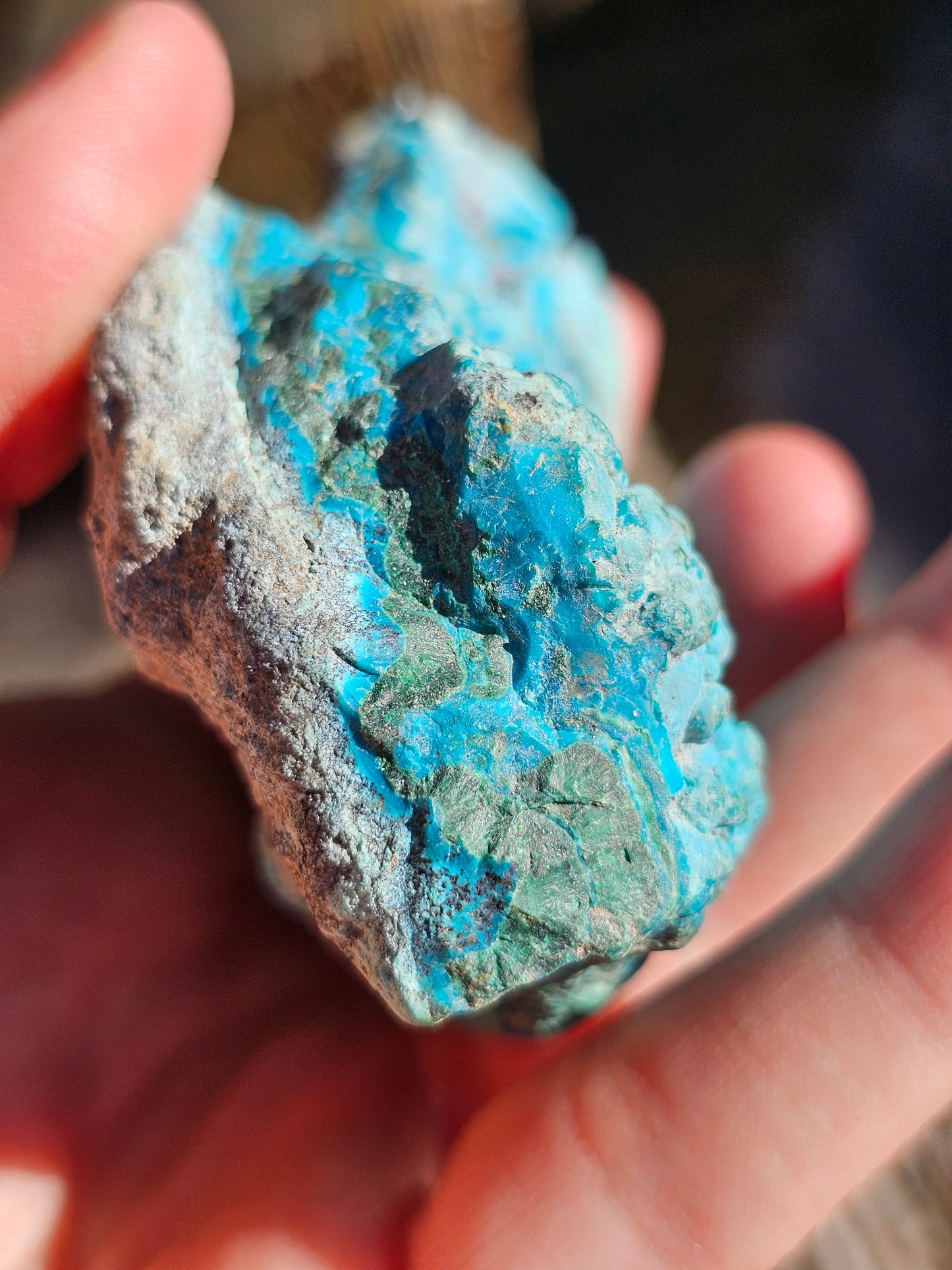 Chrysocolle cristallisée du Congo C2