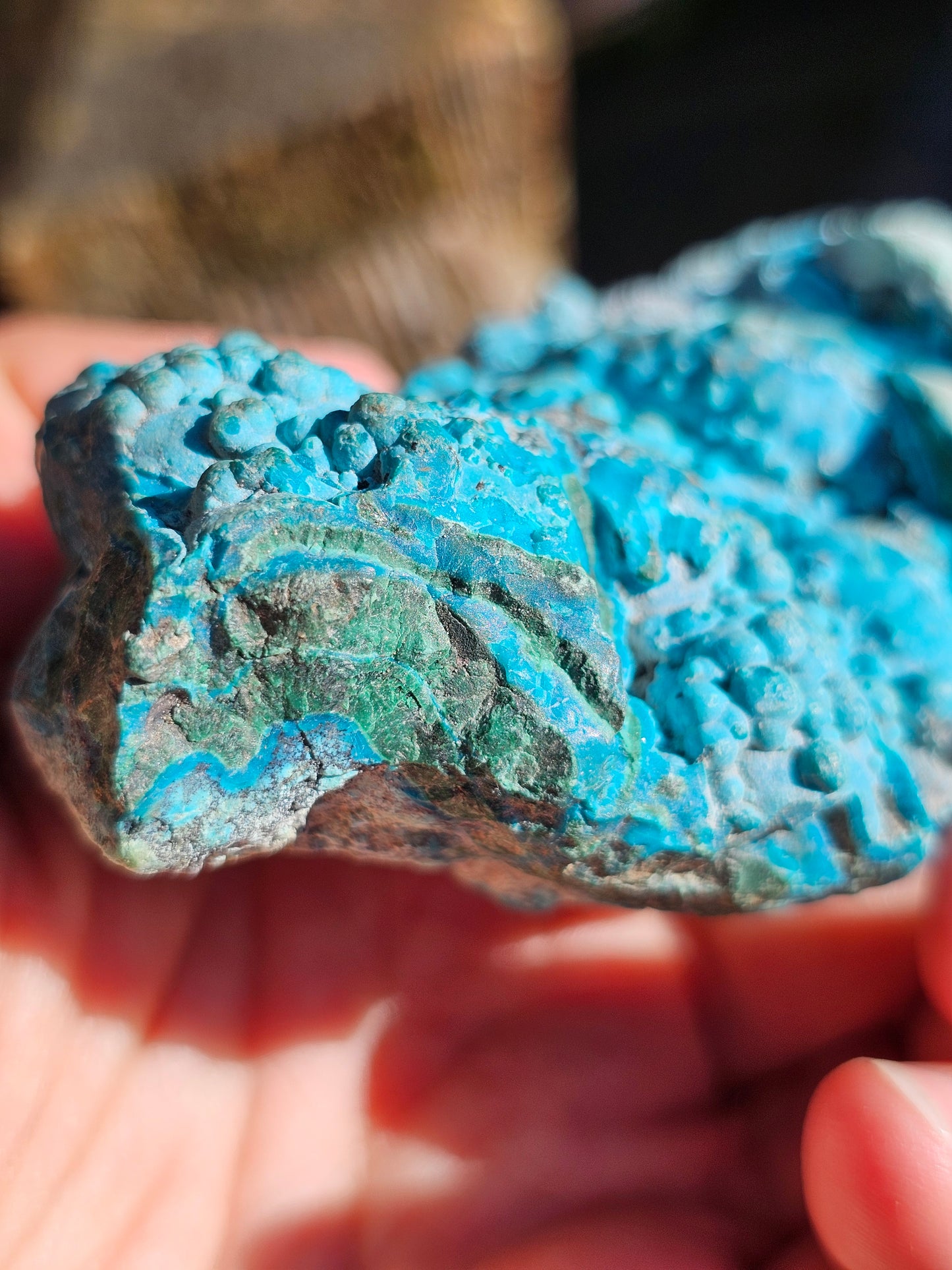 Chrysocolle cristallisée du Congo C2