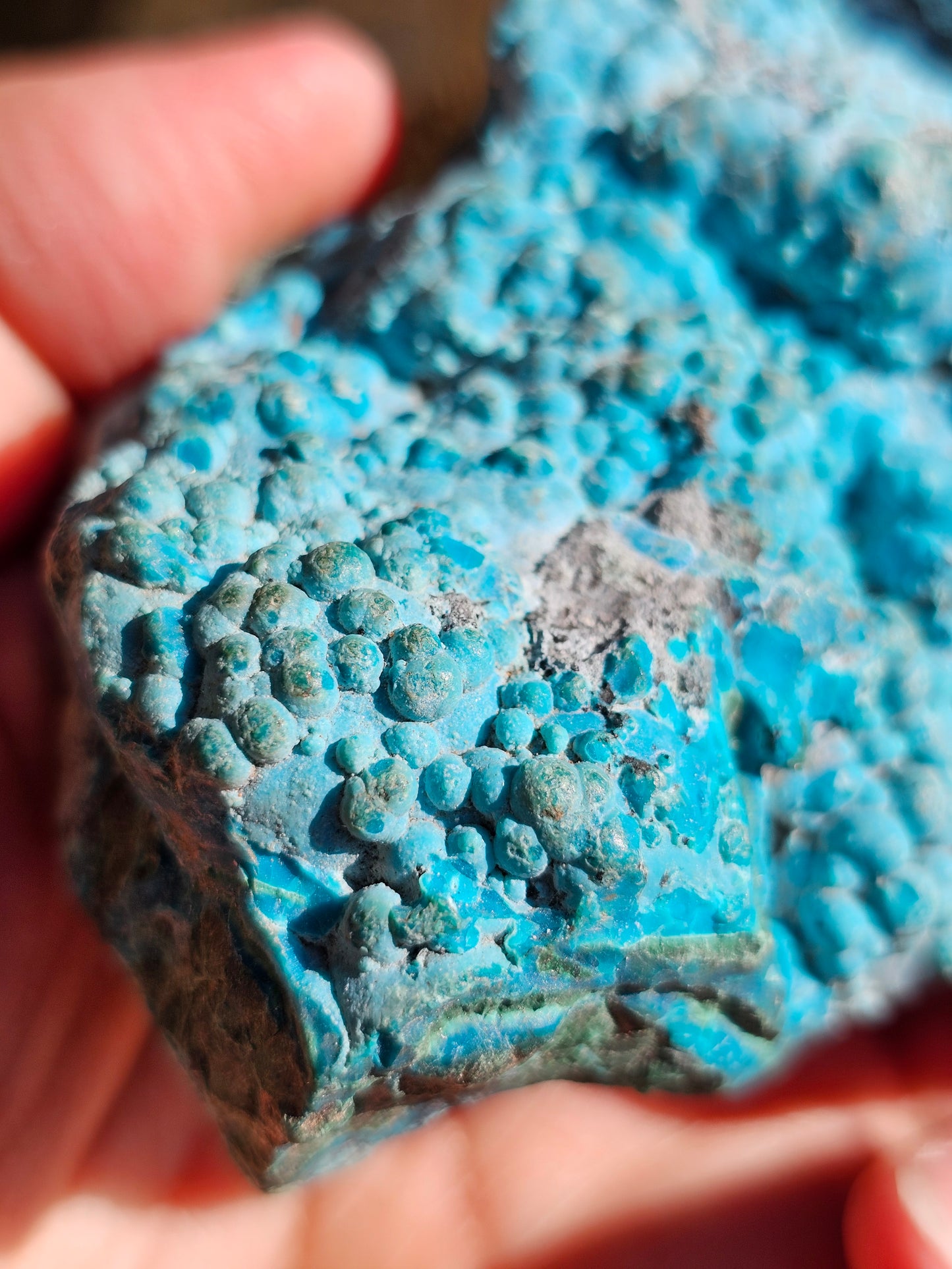 Chrysocolle cristallisée du Congo C2