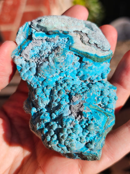 Chrysocolle cristallisée du Congo C2