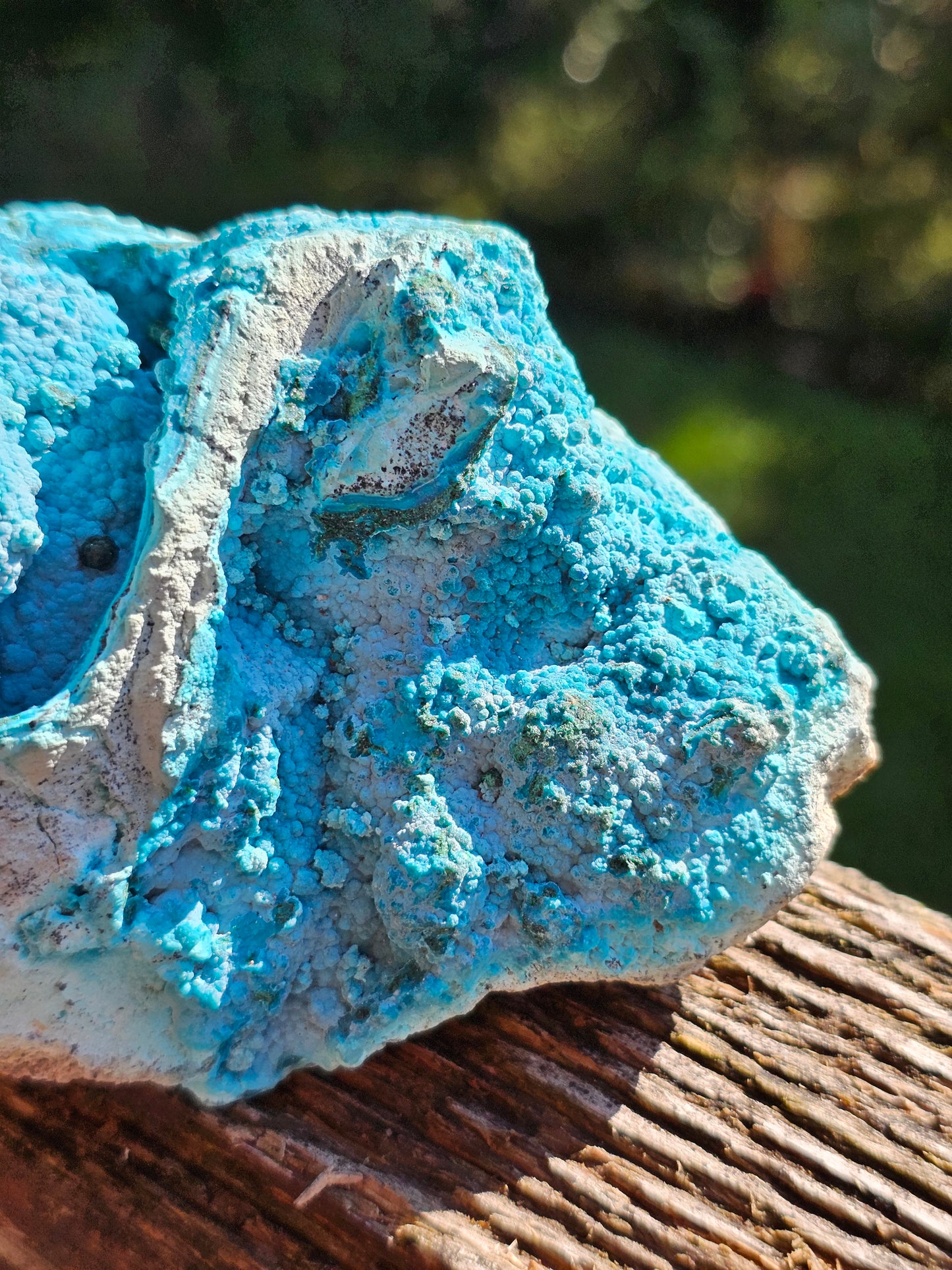 Chrysocolle cristallisée du Congo C3