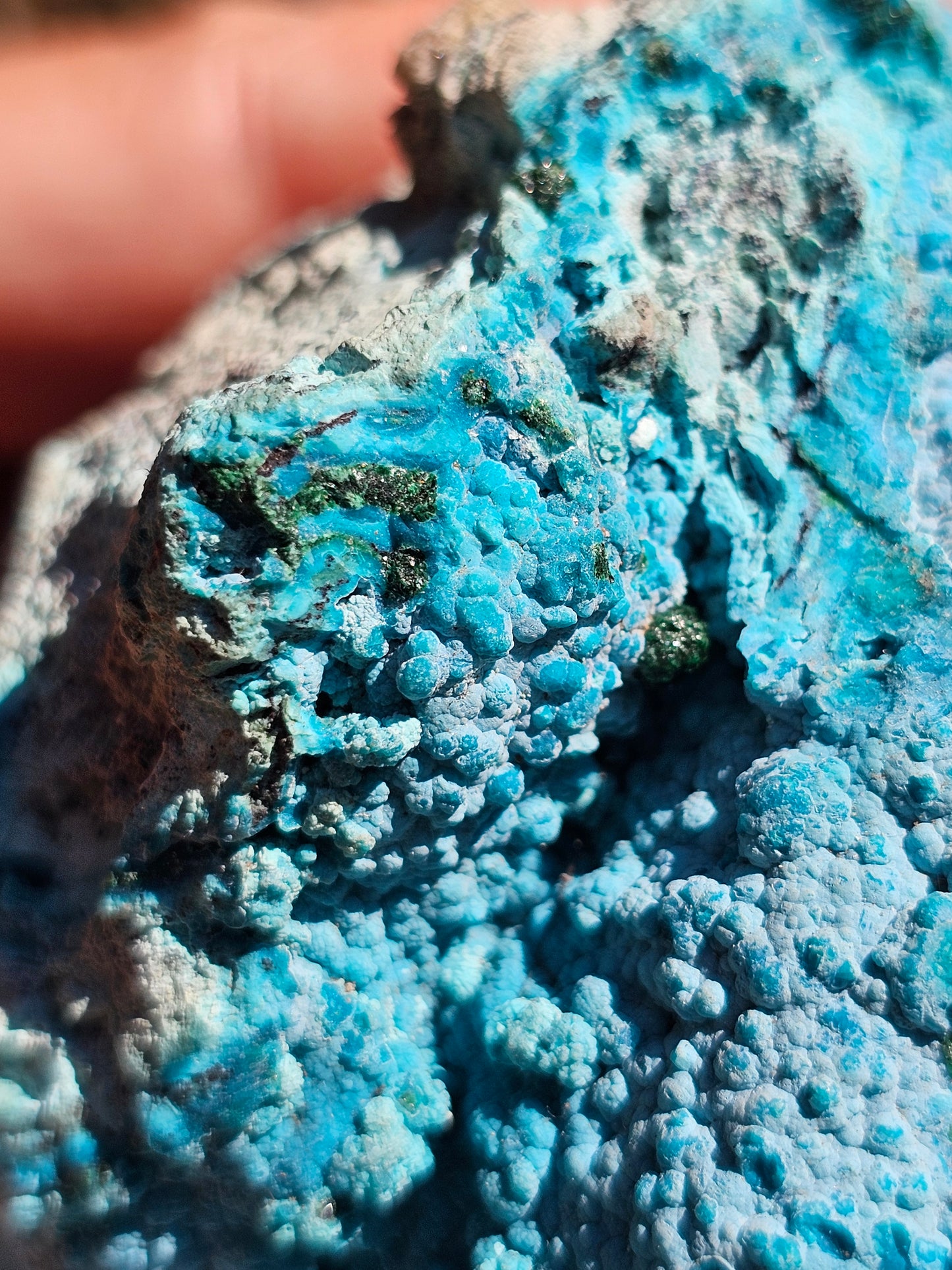 Chrysocolle cristallisée du Congo C3